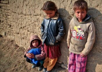 TASZ – Még kiszolgáltatottabbak a hátrányos helyzetű, mélyszegénységben vagy fogyatékossággal élő emberek