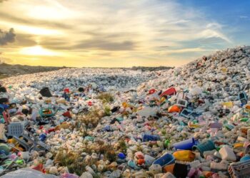 JÖVŐRE – Búcsút mondunk az egyszer használatos műanyagoknak