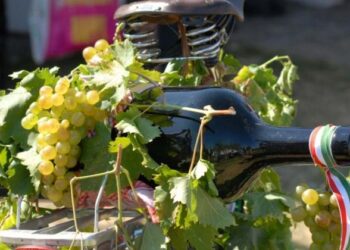 KÖZLEMÉNY – Elmarad a Bakony-Balaton Gasztroünnep