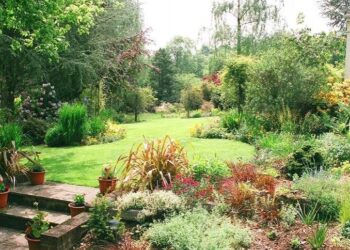 VESZPRÉMVÖLGY – Gardenart újra