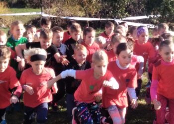 VEDAC – Dicséret jár a fiataloknak