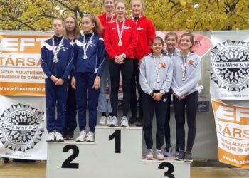 VEDAC – A tavalyi negyedik után idén második hely