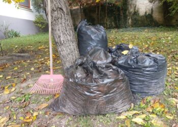 ZÖLDHULLADÉK – Nem boldogok a kerttulajdonosok