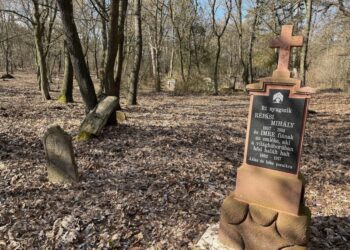 CSELÉDTEMETŐ – Ma még itt vagyunk, holnap…