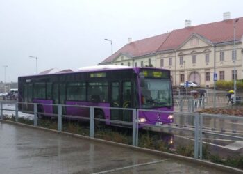 V-Busz