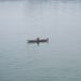 Miniszteri biztost kapott a Balaton
