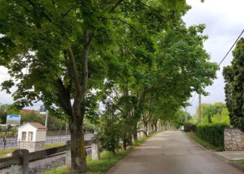 Csopakon nem ma hajtják végre a halálos ítéletet