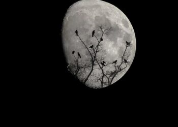 Élet: Sötétség kora