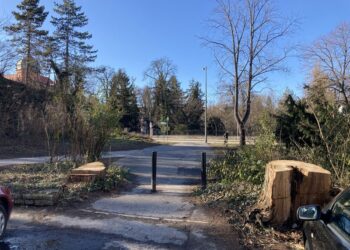 Erzsébet liget – Fakivágásokkal a zöld városért