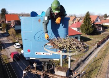 E.ON – Jönnek haza a gólyák