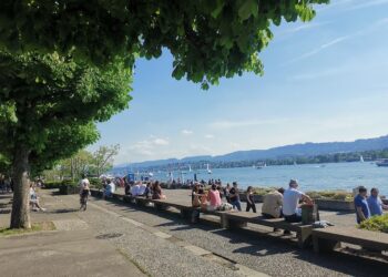 Macskacsősznapló: Grüezi!