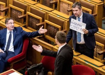 A HADHÁZY-JELENSÉG – Parlamenten kívül és belül