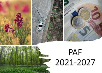 NAT – Fenntarthatóság az új tantárgy