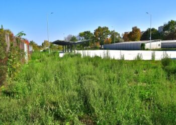 Hulladékudvar – Elkészült, de felveri a gaz