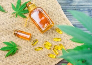 Kényelmes alternatíva, a kannabiszolaj-kapszula 