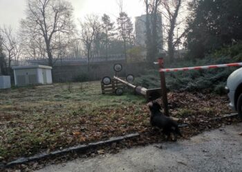 SZÍNHÁZKERT – A gazdátlanság brutális jelei