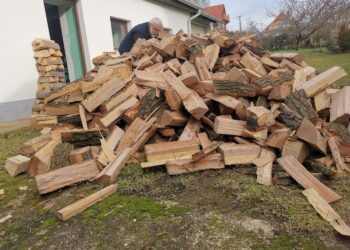 Tűzifa: Olcsóbb, mint a hatósági