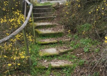 Természetjárás: Tavasz a hegyen