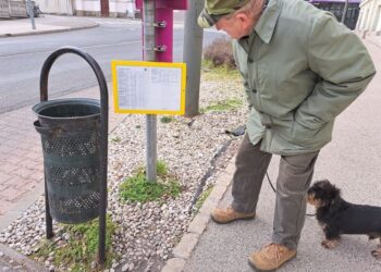 NAPI MORGÓ – Hétrét, négykézláb és a többiek