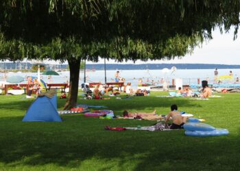 EKF – Újabb bizarr balatonalmádi ügyek