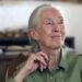 Jane Goodall a Pannon Egyetemen
