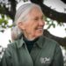 M&aacute;jus 8-&aacute;n Veszpr&eacute;mbe j&ouml;n dr. Jane Goodall