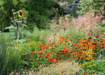BALATONBARÁT KERTEK – Életmentő kertészkedés