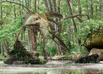 ÚJABB EKF-KIÁLLÍTÁS – Konstruált tájképek