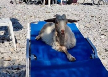 ÉLETMÓD – Strandolás kávéfőzővel, gázrezsóval