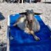 ÉLETMÓD – Strandolás kávéfőzővel, gázrezsóval