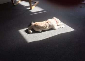 NEVELÉS – A gyerekek nem felejtenek