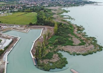 BALATON – Hatalmas területen pusztul a nád