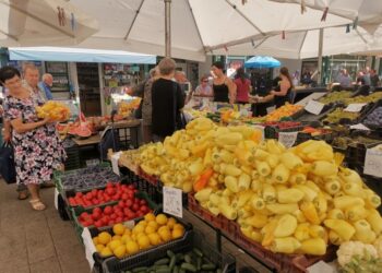 SZEPTEMBERI PIAC – Bőség és drágaság