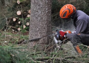 A láncfűrészek vágási teljesítménye