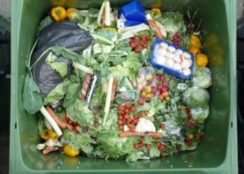 ÉLELMISZER-PAZARLÁS – A legdrágább megy a kukába