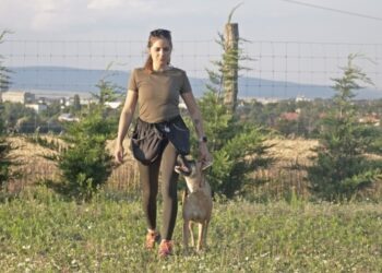 CZINK VIVIEN: Az örökbefogadás csodája