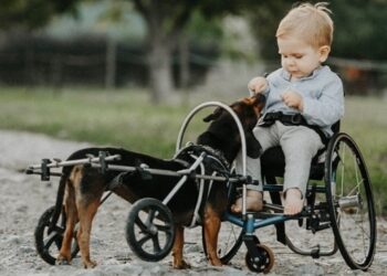 SMA-SZŰRÉS – Milliárdokat adnak, milliókat visszavesznek