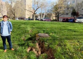 HASZKOVÓ – Elszaporodtak a rágcsálók