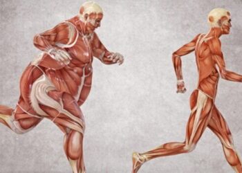 OZEMPIC – Elhízás ellen csodagyógyszer?