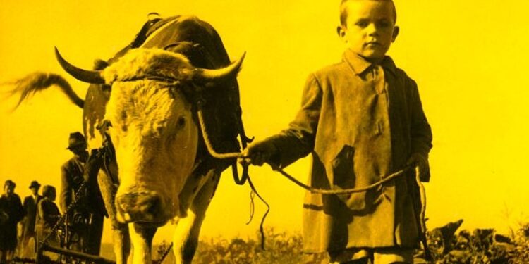 Bánd, BÁND – Kortársművészeti tavasz