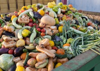 ÉLELMISZER-PAZARLÁS elleni világnap: Te is kidobod?