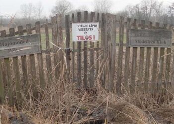 KITEKINTŐ – Leépítések, munkanélküliség, bűzlő haltetemek