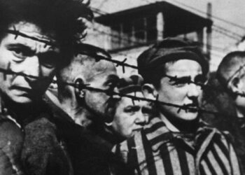 AUSCHWITZ REGÉNYE: Hajcsárok ideje