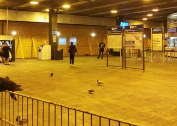 MÁV – Júniustól féláron utazunk?