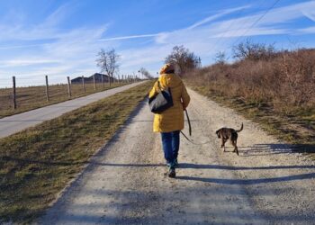 ÁLLATOTTHON – Vállalkozók az aranykönyv lapjain