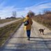 &Aacute;LLATOTTHON &ndash; V&aacute;llalkoz&oacute;k az aranyk&ouml;nyv lapjain