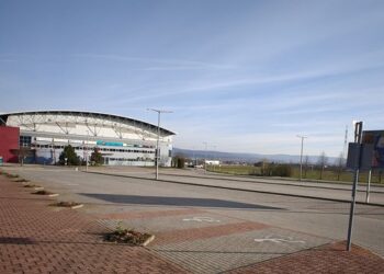 FAKIVÁGÁS 2.0 – A szakértők szerint betegek voltak a fák