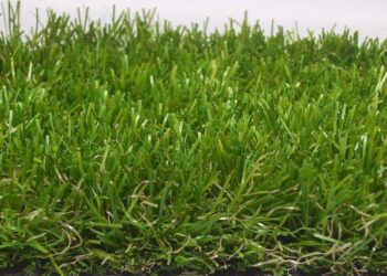 Műfű, a nyári kerti oázis alapja