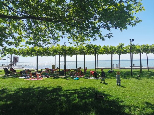 boldogságrangsor, BOLDOGSÁGRANGSOR – Lefelé megy az élet