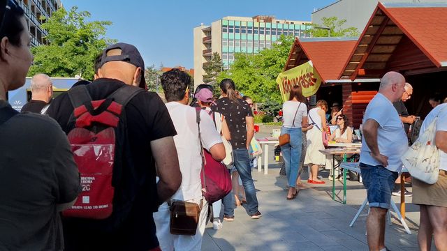 Tisza Kata, TISZA KATA – Kötelék és szabadság